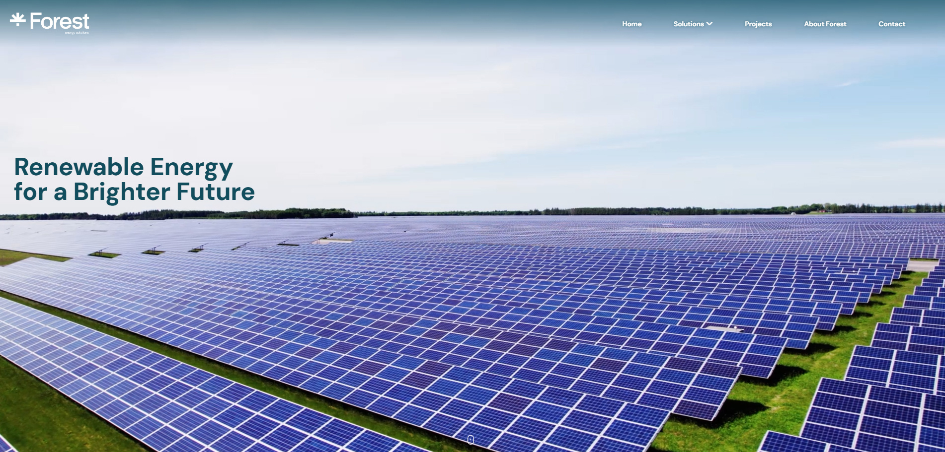 Forest Energy Group Website